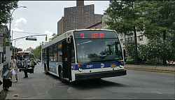 1000069214.jpg