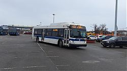20250118_123740.jpg
