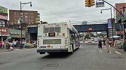 20250627_104718.jpg