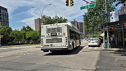 20250629_124750.jpg