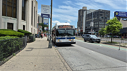 20250629_130306.jpg