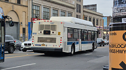 20251115_154528.jpg