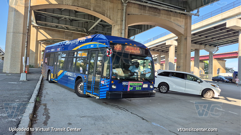 New York City Transit Bus #9802 on the X80
With Let's Go Knicks P/R code
