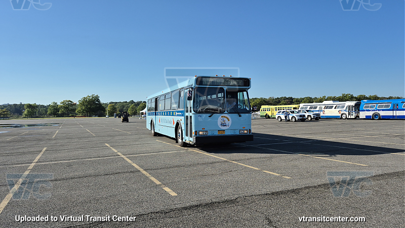 MTA Bus Rodeo Ex-Bee Line 174
MTA Bus Rodeo Ex-Bee Line 174
