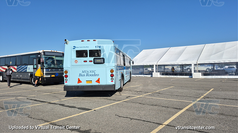 MTA Bus Rodeo Ex-Bee Line 174
MTA Bus Rodeo Ex-Bee Line 174
