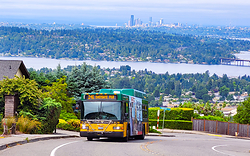7331-e.jpg