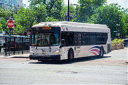 2026-06-15_03-06-22.jpg