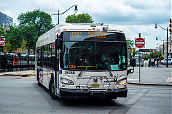 DSC_1081.jpg