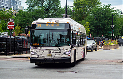 DSC_1086.jpg