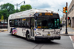 DSC_1089.jpg