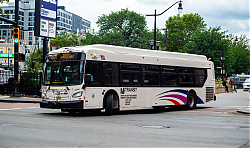 DSC_1100.jpg