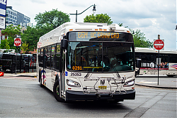 DSC_1102.jpg