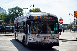 DSC_1373.jpg