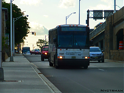 P1010789.jpg