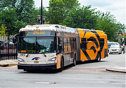 DSC_1097.jpg