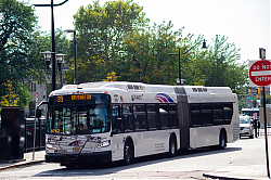 DSC_1391.jpg