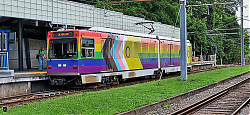 20250726_173534.jpg
