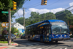 IMG_7846.jpg