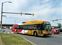 FFX9650-EadsSt-ArmyNavyDrive-6-27-12.jpg