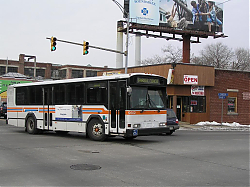 9502turns-marketst-cameronst-2-14-0_50951646086_o.jpg