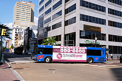 cat-1402---2nd-market---7-2-18_41566245730_o.jpg