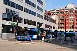 cat-1709---2nd-market---7-2-18_28505472887_o.jpg