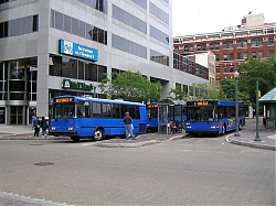 cat2105-2505-2ndandmarket-5-7-10_50951728947_o.jpg