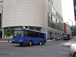 cat2106-marketst-5-7-10_50951971662_o.jpg