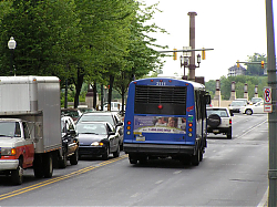 cat2111-marketst-5-7-10_50951172843_o.jpg