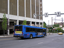 cat2401back-marketstreetbystation-5_50951176338_o.jpg