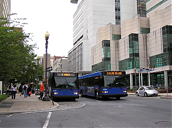 cat2609-2404-marketstreetbystation-_50951974937_o.jpg