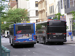 cat2623-rabbit408-marketst-5-7-10_50951728902_o.jpg