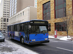 cat924-marketstreetbystation-2-14-0_50951646071_o.jpg