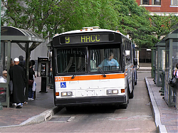cat9501-2ndandmarket-5-7-10_50951646061_o.jpg