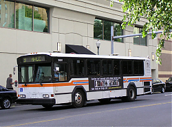 cat9501-chestnutandmarket-5-7-10-1_50950940453_o.jpg