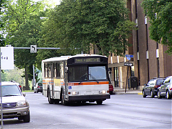 cat9503-chestnutandriversts-5-7-10_50951646111_o.jpg