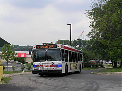 5942cnt-cheltenham-ogontzloop-6-14-_33837648691_o.jpg