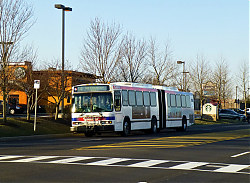 7121-horizonblvd-3-20-13_zps49410f5a_33395306450_o.jpg