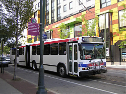 7188a-40th-chestnut-7-17-08_33967338025_o.jpg