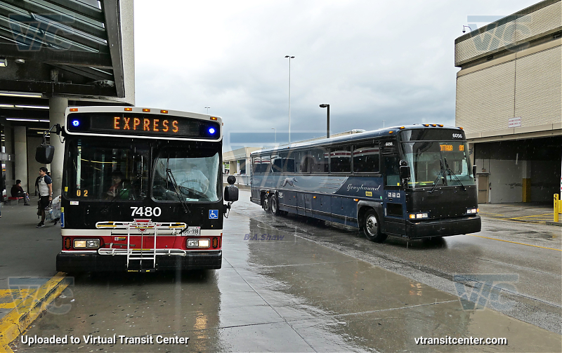 Toronto Transit Commission 7480 and Greyhound 6056
TTC EXPRESS
Keywords: TTC Bus;Orion VII OG;Greyhound