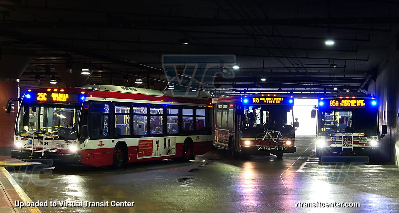 Toronto Transit Commission 8034, 7609, and 9063 (L-R)
Three TTC buses, two in the old scheme, one in the new scheme. Also, this series of Orion VII is being replaced by these Novabuses.
Keywords: TTC Bus;Orion VII NG;NovaBus LFS