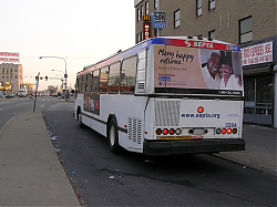 3394back-OlneyTC-3-31-06.jpg