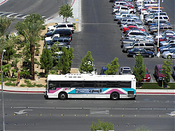 LVCAT_426_side_cnt_-_Le_Baron_-_8-18-07.jpg