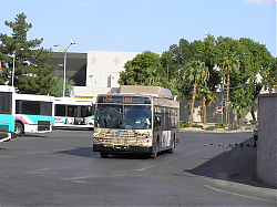 LVCAT_922_-_DTC_-_8-18-07.jpg