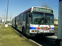 7233-willowgrove_33623515852_o.jpg
