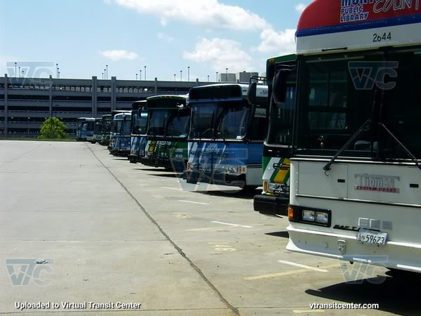 Montgomery County Ride-On Buses Lined Up
PATG-Burg

