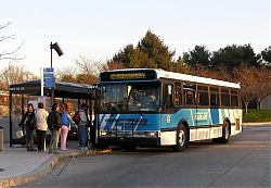 ro5575cr-shadygrovesta-11-24-06_33225026838_o.jpg