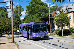 PAT_5375_-_Negley_Ave_-_7-22-20.jpg
