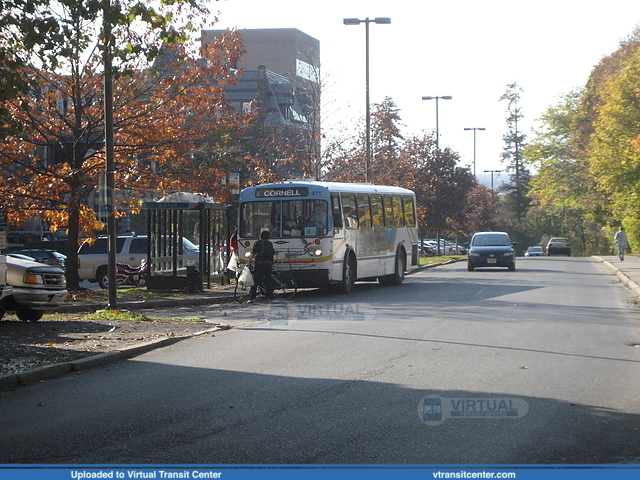Tompkins Consolidated Area Transit 911
A 1991 Orion I (model 1.507) at Cornell University in Ithaca, NY.

October 26, 2008
