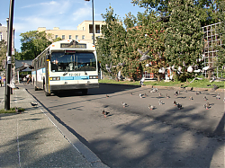 CIMG0987.JPG